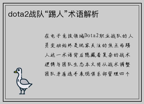 dota2战队“踢人”术语解析